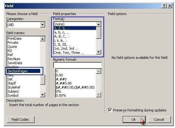 large word document numbering pages differently large word document numbering pages differently