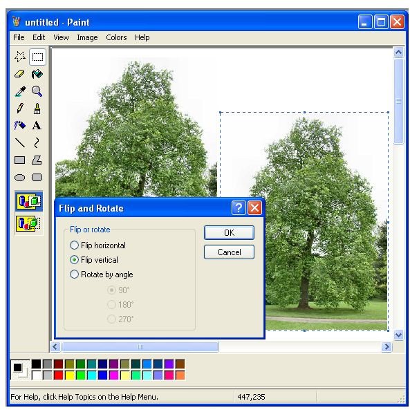 Rotate in ms paint pinkberlinda