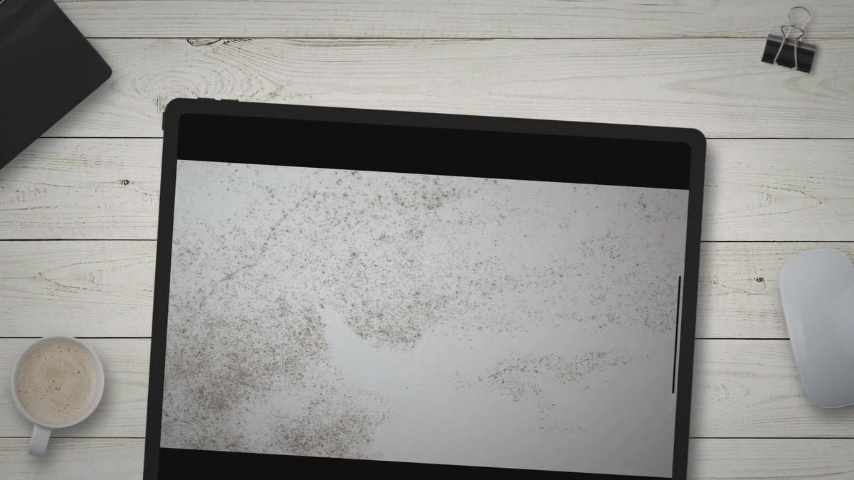 Black Mold Blood Tests, Symptoms & Treatment